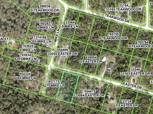  EASTER DR, WEBSTER, FL 33597