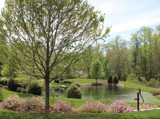 1270 Gap Creek Rd, Zirconia, NC 28790