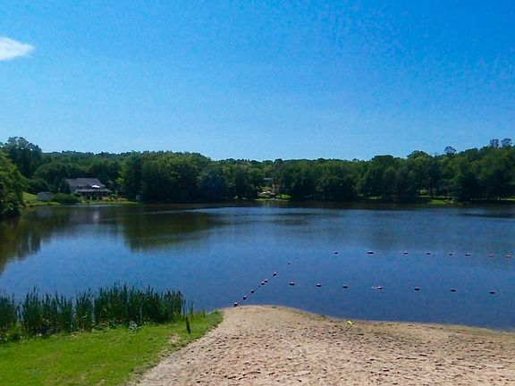 Pine Tree Lake Community