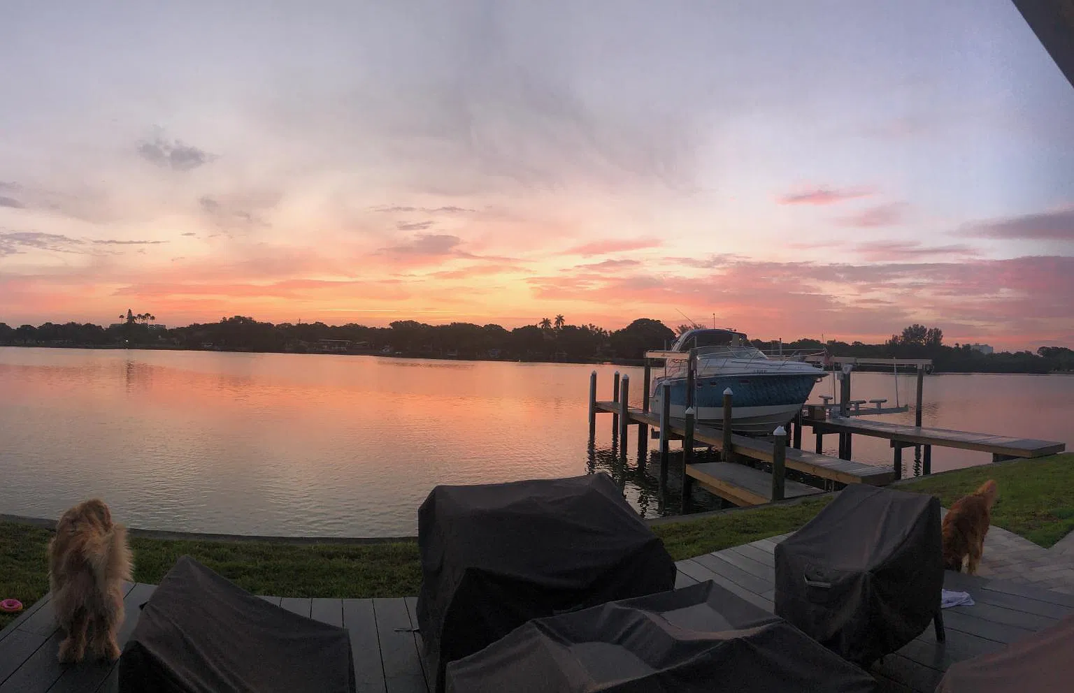 2 bed, 1600 sqft, $13,000 — Photo 4