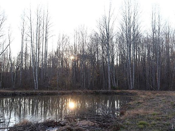 3rd image of 506 Holly Tree Dr Lot 1&26