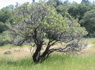 21871 Allan Rd, Volcano, CA 95689