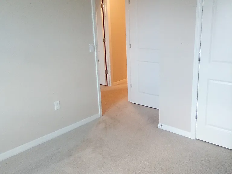 13033 Brookside Moss Dr — Photo 26