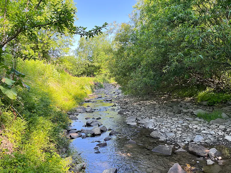 185 Level Green Rd — Photo 14