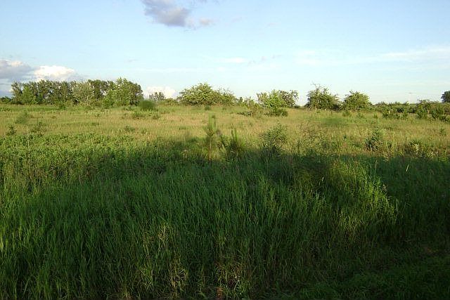 2nd image of 3990 Peterson Rd