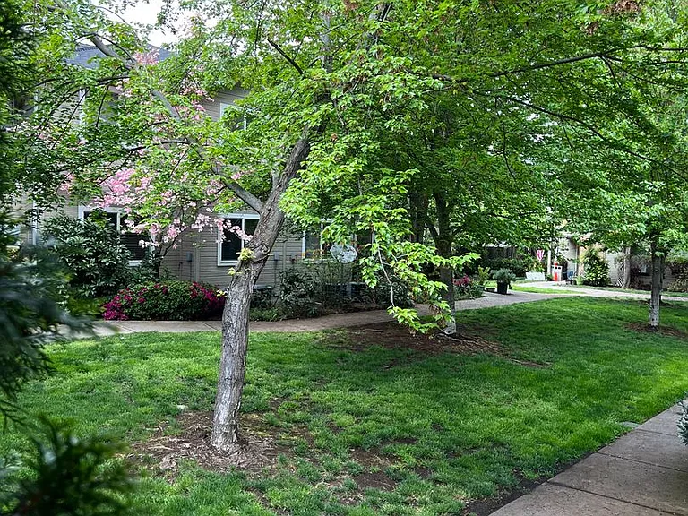 3163 Juniper Ridge 11 #5-6-12 — Photo 6