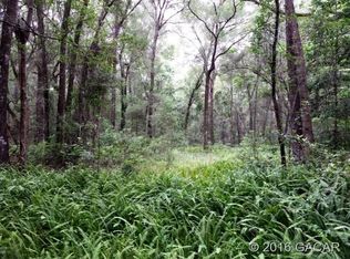 3373 SE 76th Ter, Newberry, FL 32669