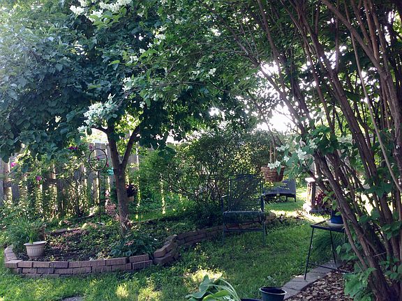 Back yard garden area