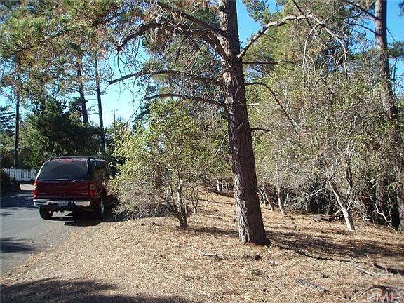 3rd image of Wilton Dr