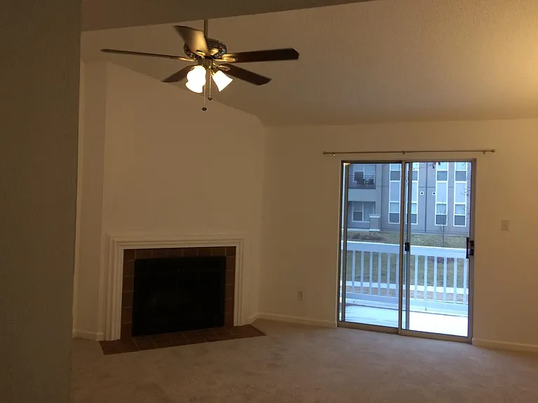 The living area with carpet