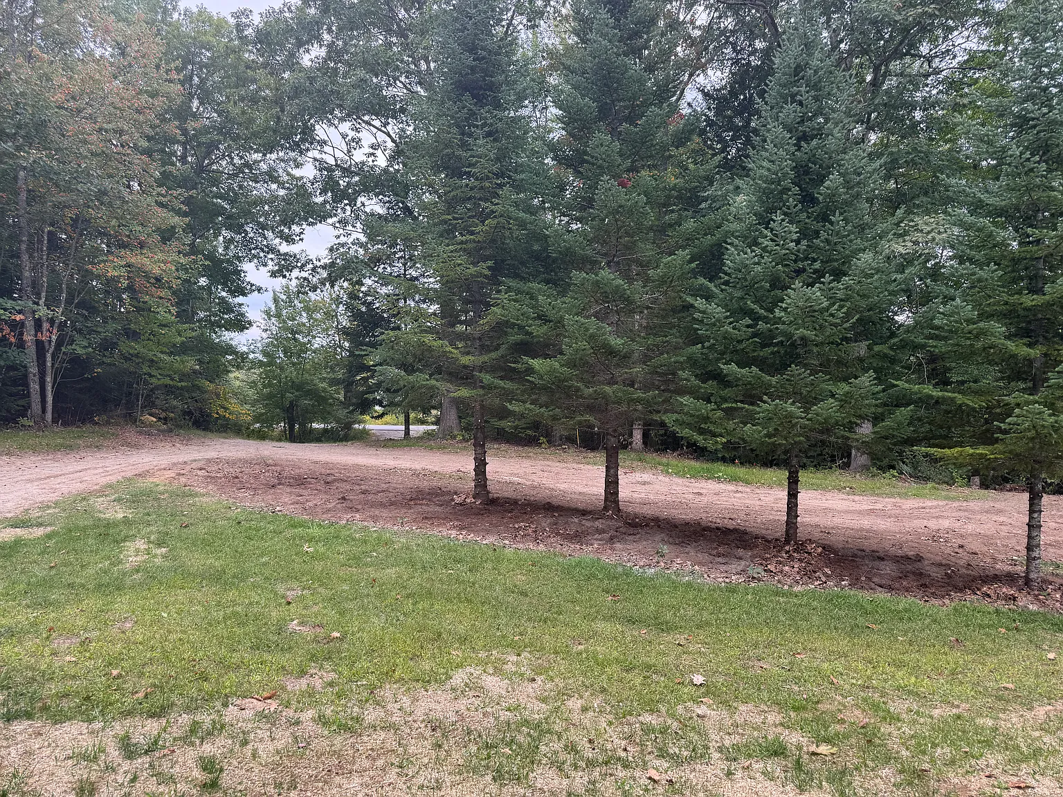 1 bed, 784 sqft, $2,050 — Photo 2