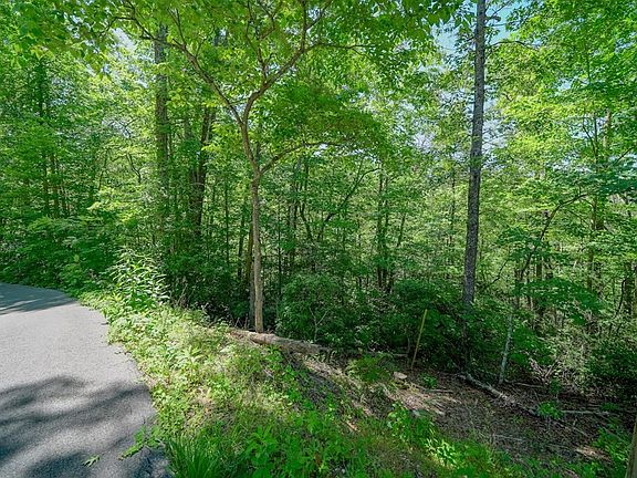 3rd image of 34 Ownby Cir Lot 34