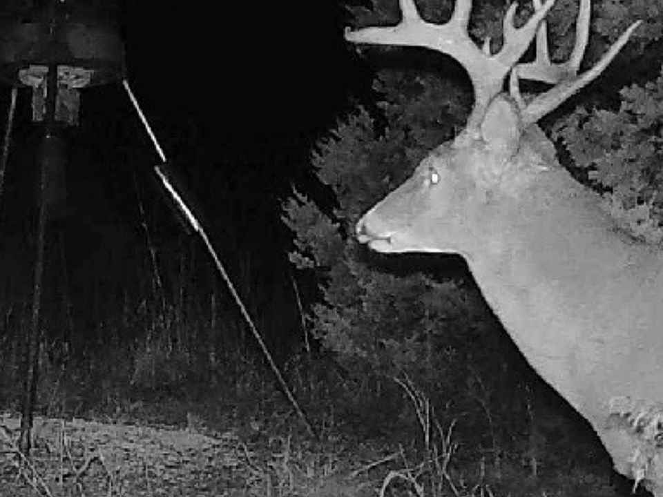 1st image of 337897 E 903rd Rd