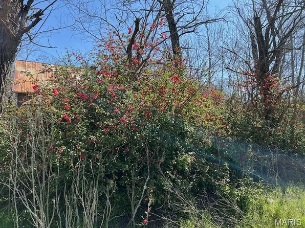 19588 State Highway C, Belgrade, MO 63622