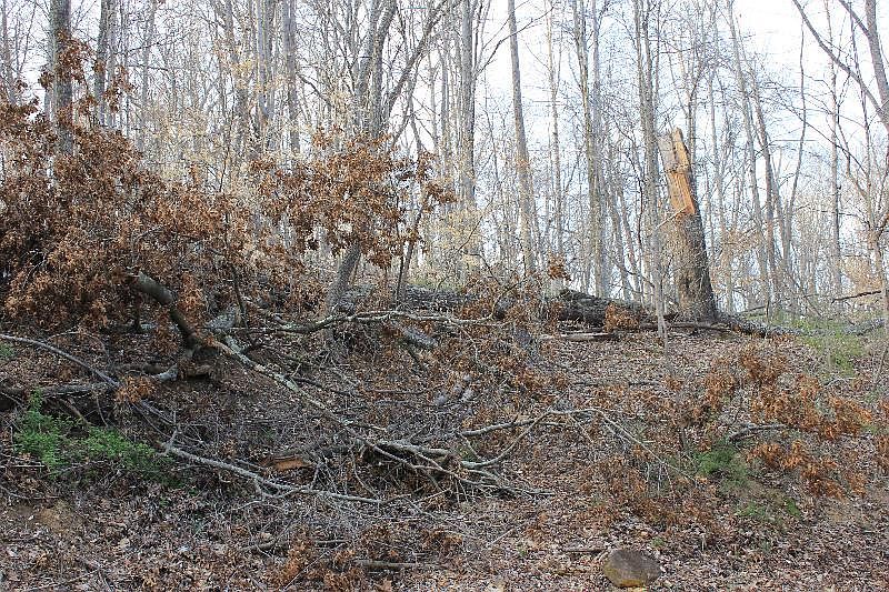1st image of 0 Montezuma Ln
