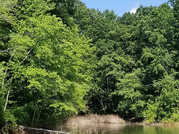 Lake access
quiet cove