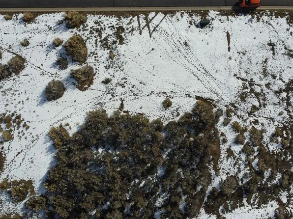 740 SE Pinyon St, Cedaredge, CO 81413