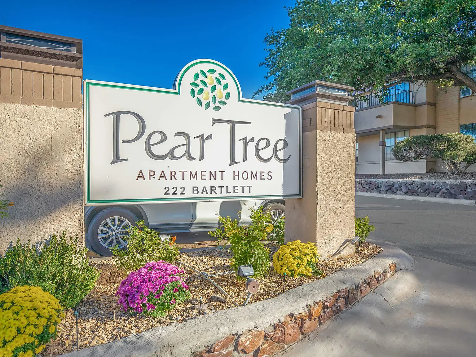 Pear Tree Apartments — Photo 1