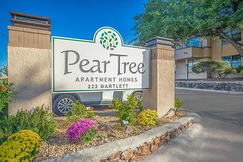 Pear Tree Apartments Photo 1