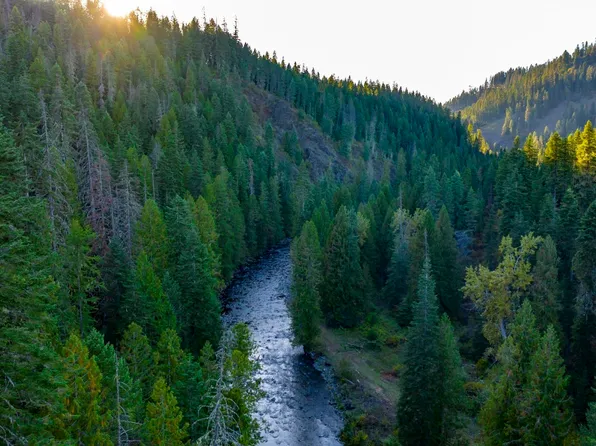 5856 Lacey Meadows Rd, Weippe, ID 83553