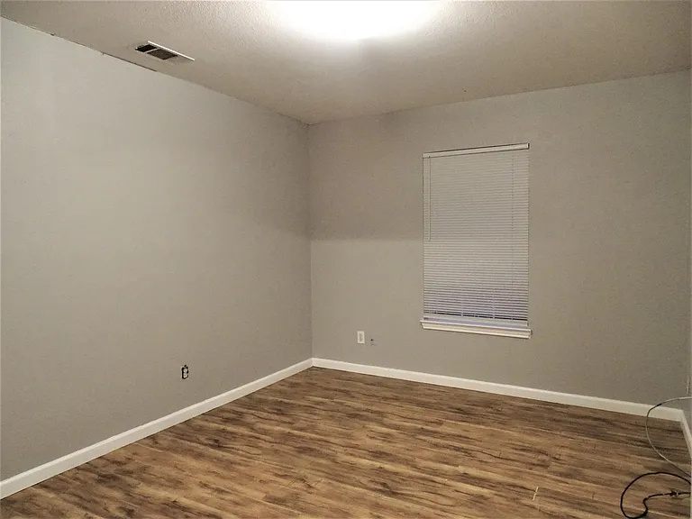 4338 Forest Point Dr — Photo 12