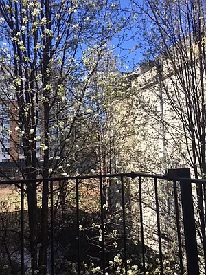 Rented by Corcoran | media 14