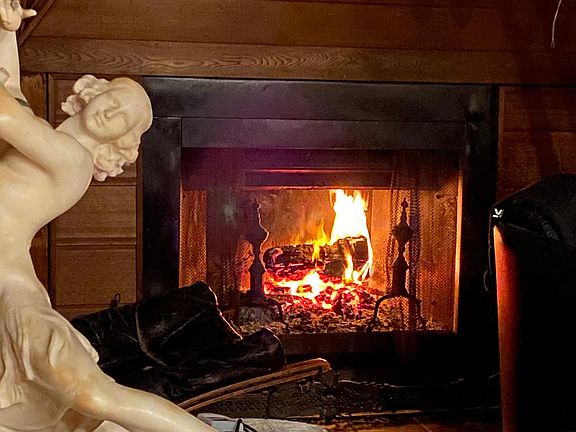 wood burning fireplace in the living room