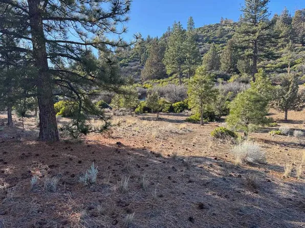 Palmer Dr Unit 5, Weed, CA 96094