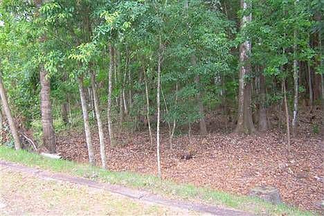5th image of 13110 Cypress Hill Dr