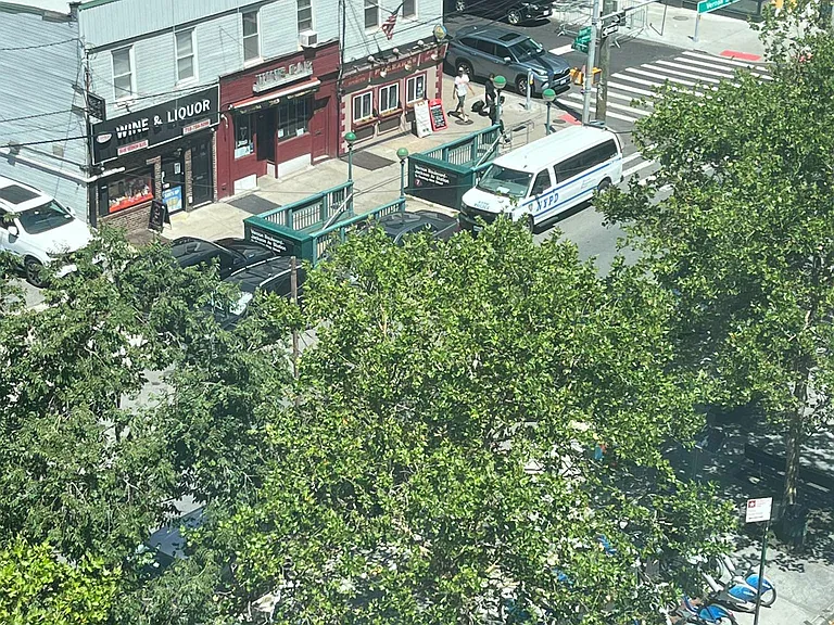 1017 Jackson Ave #6B — Photo 6