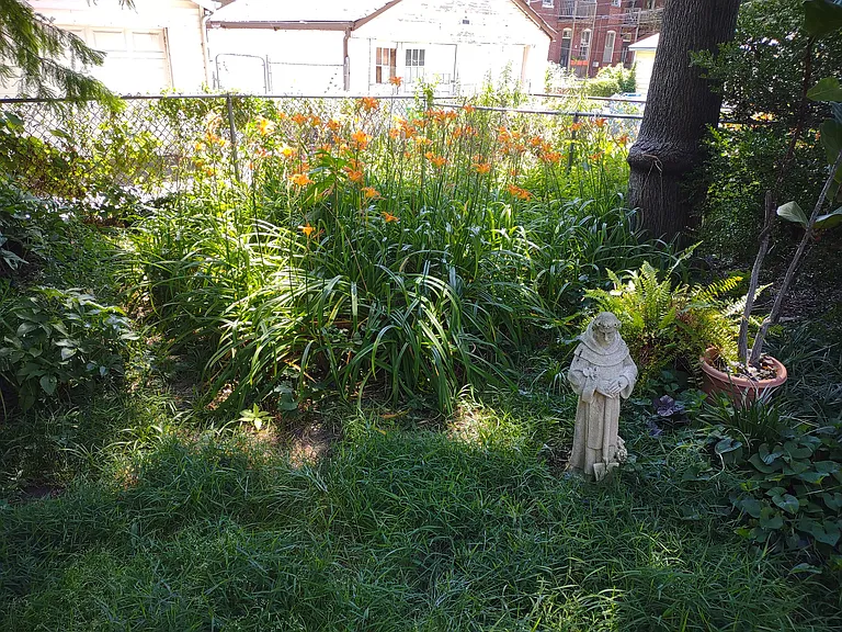 Rear yard west