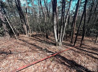 Minerva Lane 79 #80-84, Sapphire, NC 28774