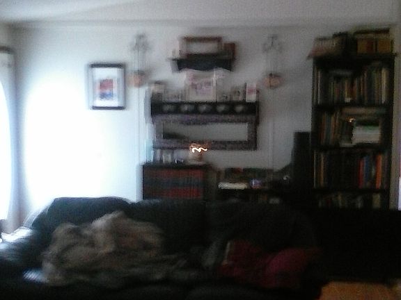 3rd image of 739 Alpine Way