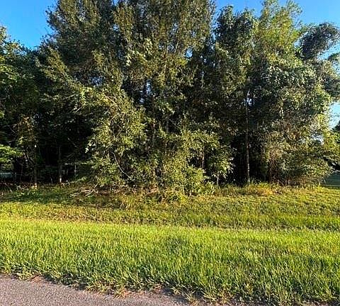 5th image of 1103 W Point Dr