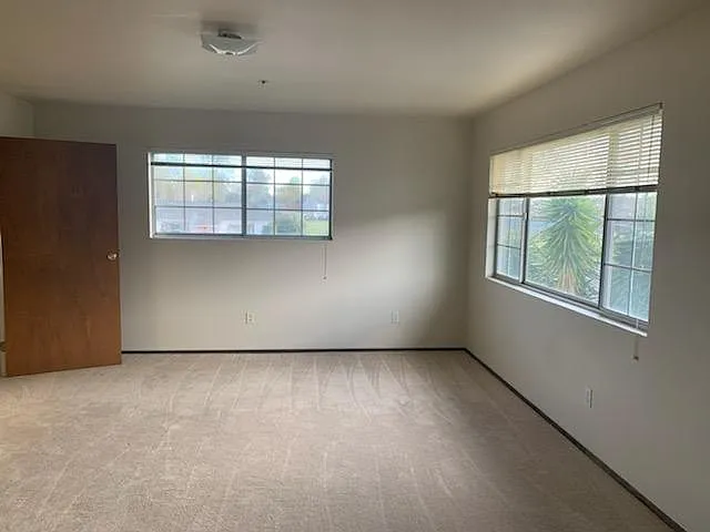 1025 E Cotati Ave #1 — Photo 4