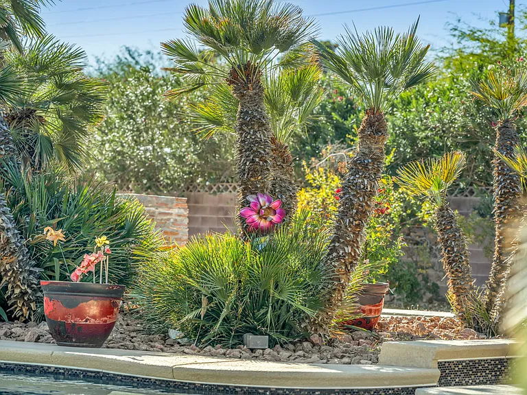 3037 Palomino Ln — Photo 22