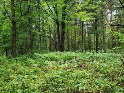 0 Mattis Rd #1, Lowville, NY, 13367