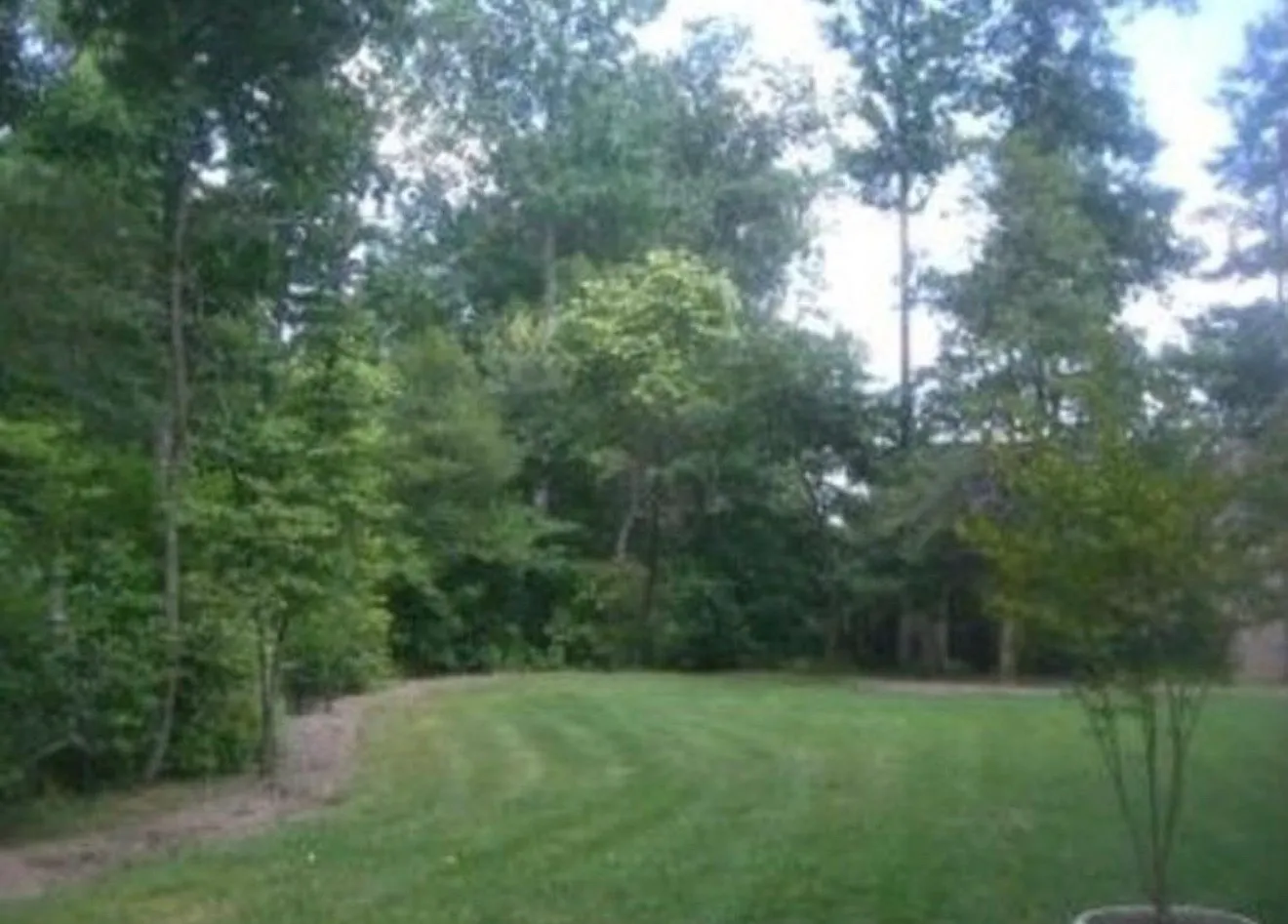 5 bed, 4.5 bath, 3656 sqft, $3,000 — Photo 3