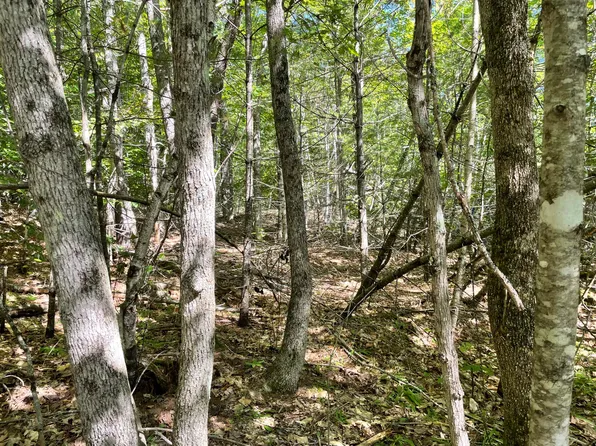 0 Town House Road, Swanville, ME 04915