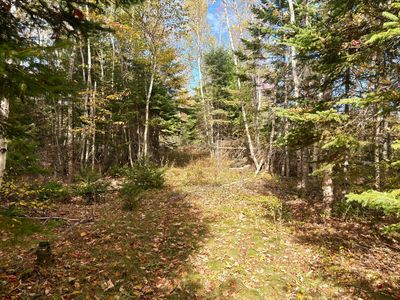 Lot 22 Off South Meadow & Roys Way Road, Perry, ME, 04667