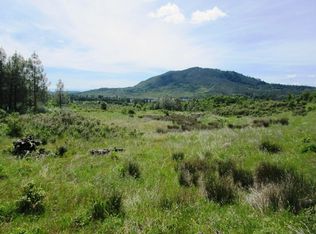 18155 Patterson Ranch Rd, Round Mountain, CA 96084