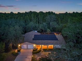 17910 Fancy Ln, Hudson, FL 34667