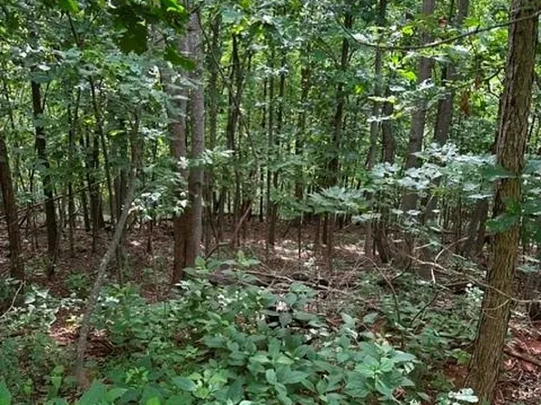 0 Cove Gap Rd #1, Moravian Falls, NC 28654