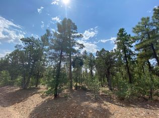 3151 W Senna Ln, Show Low, AZ 85901