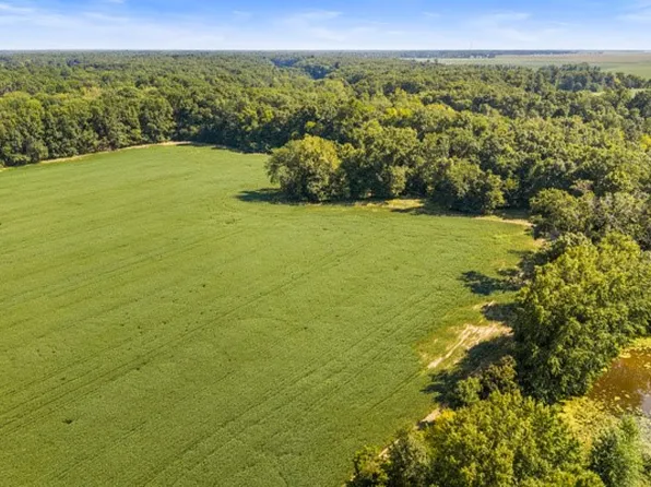 N Cline Orchard Rd, Marshall, IL 62441