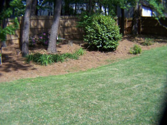 3rd image of 1073 Park Forest Dr