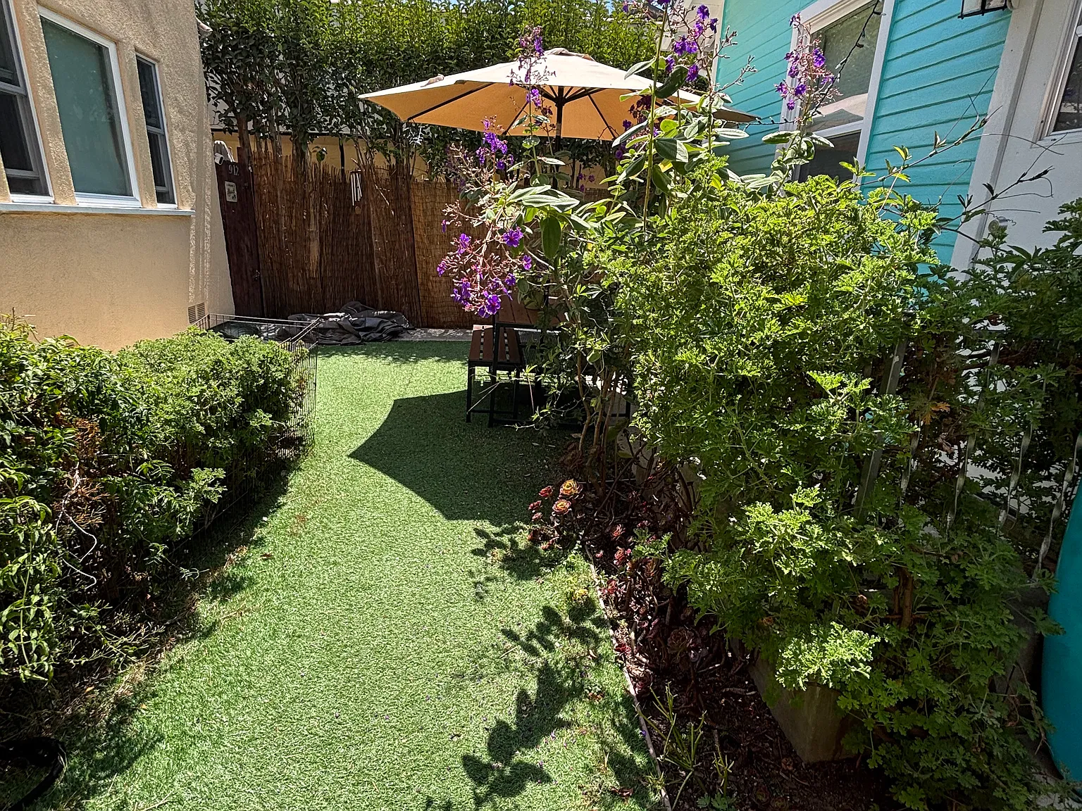 1/2 California Ave, Venice — Photo 4