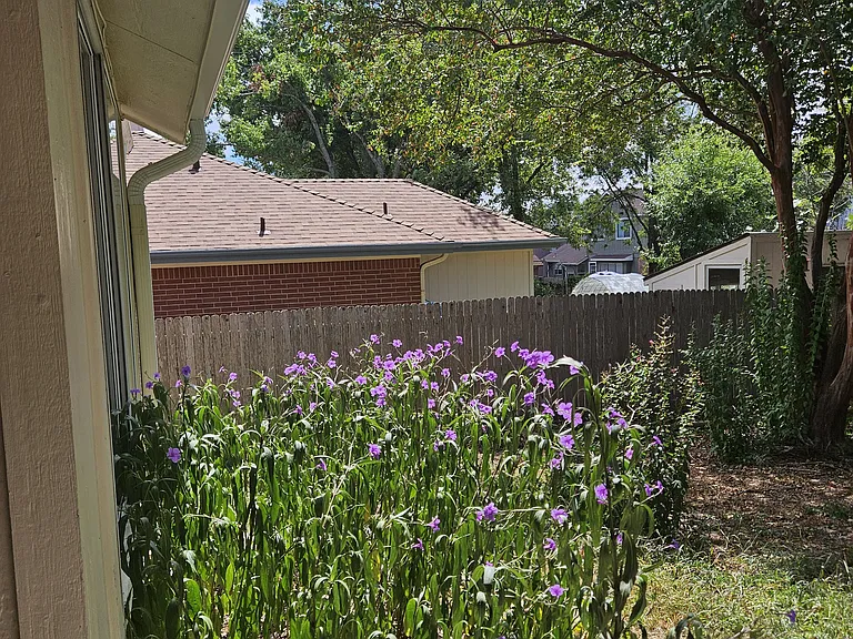 2201 Fuzz Fairway — Photo 16