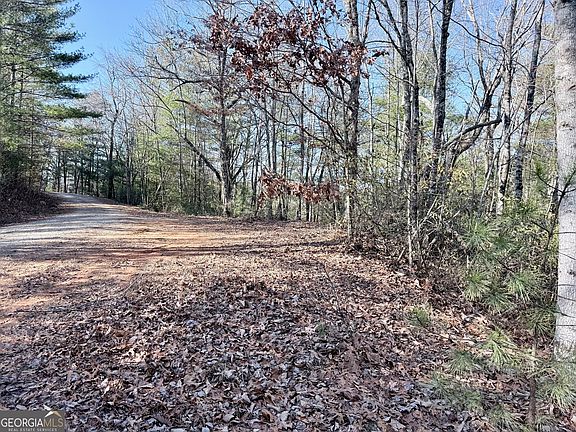 2nd image of 0 Rabun Bluffs Dr