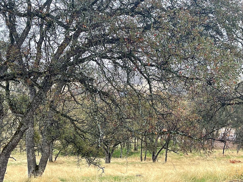 1st image of 9520 Mercado Dr